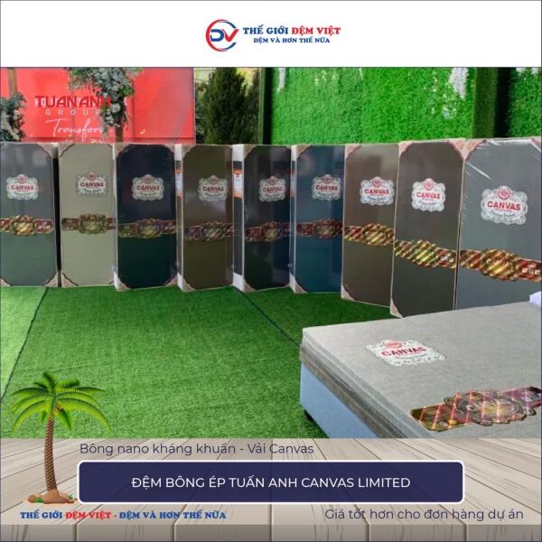 Đệm bông ép Tuấn Anh Canvas Limited 4